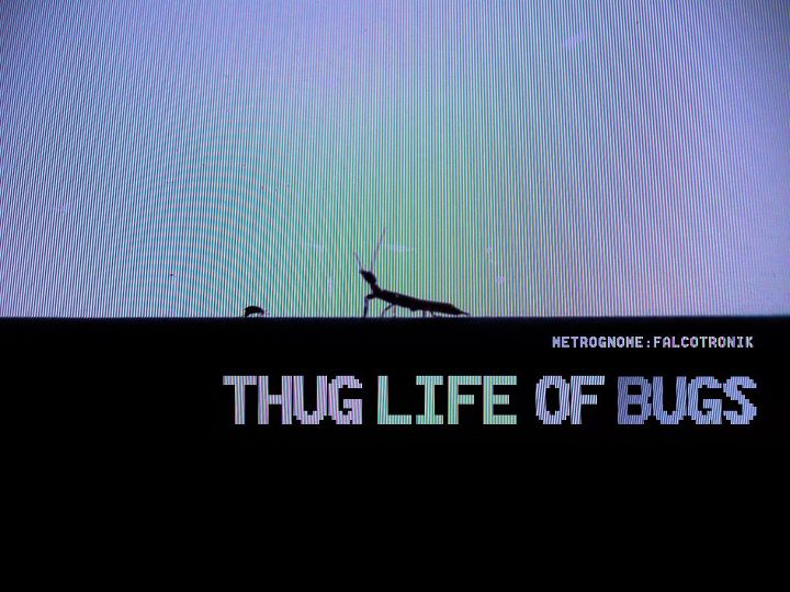 Metrognome:Falcotronik - Thug Life of Bugs
